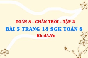 Bài 5 trang 14 Toán 8 Chân trời sáng tạo Tập 2